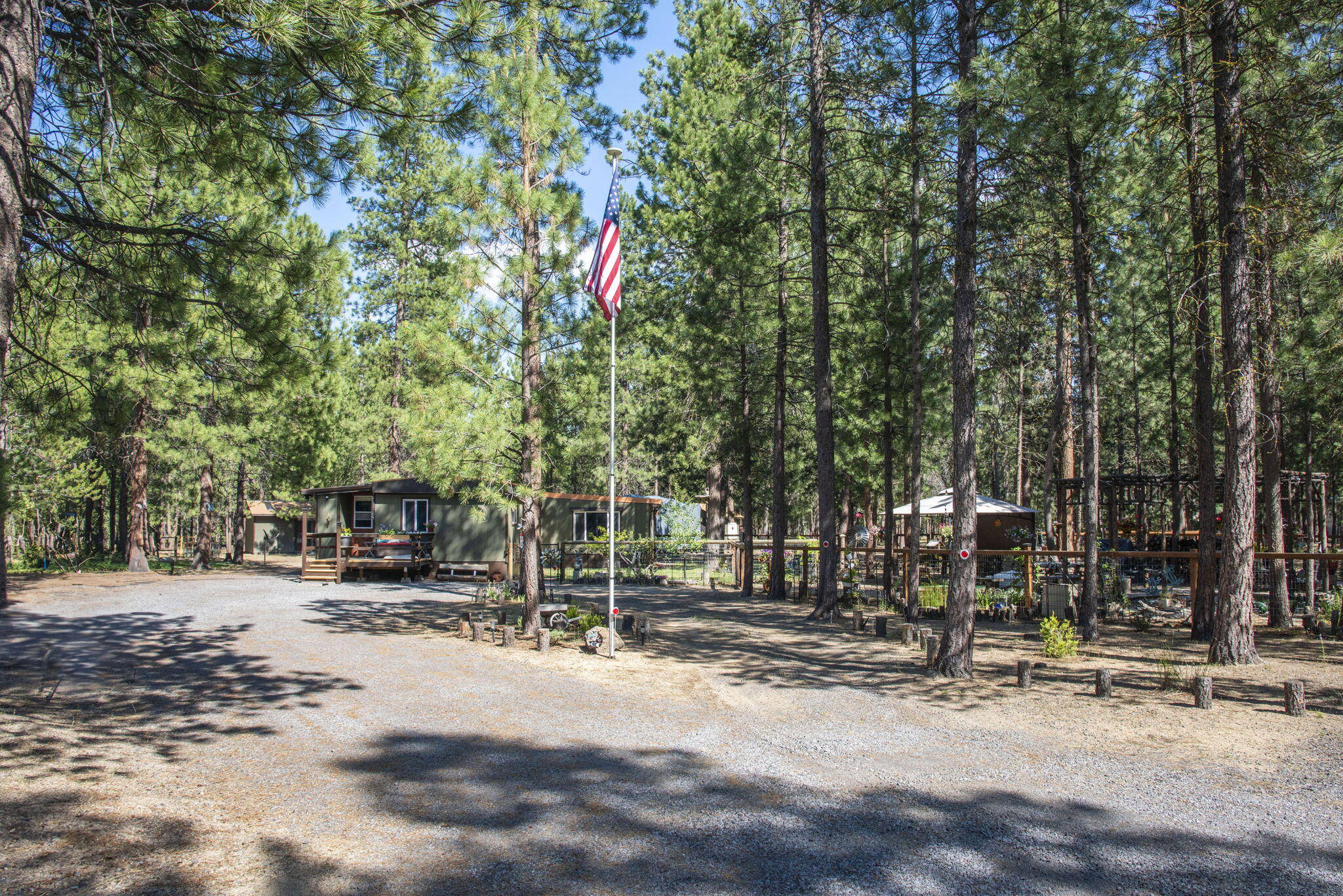 Ponderosa Pines - Residential