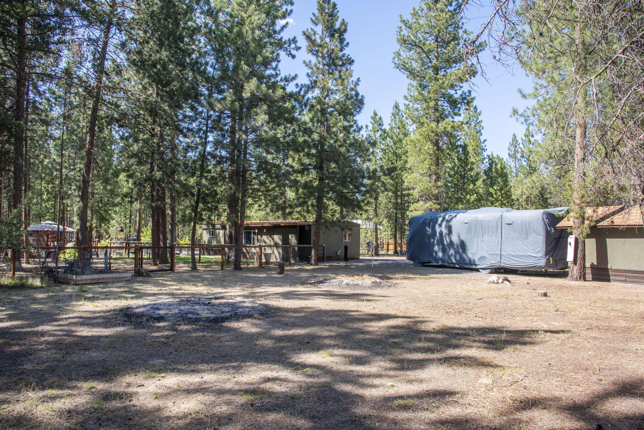 Ponderosa Pines - Residential