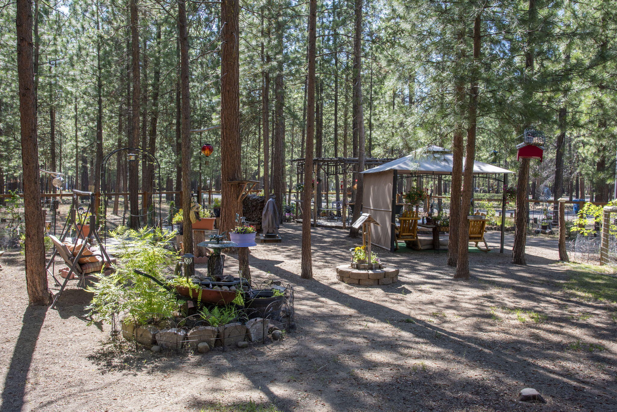 Ponderosa Pines - Residential