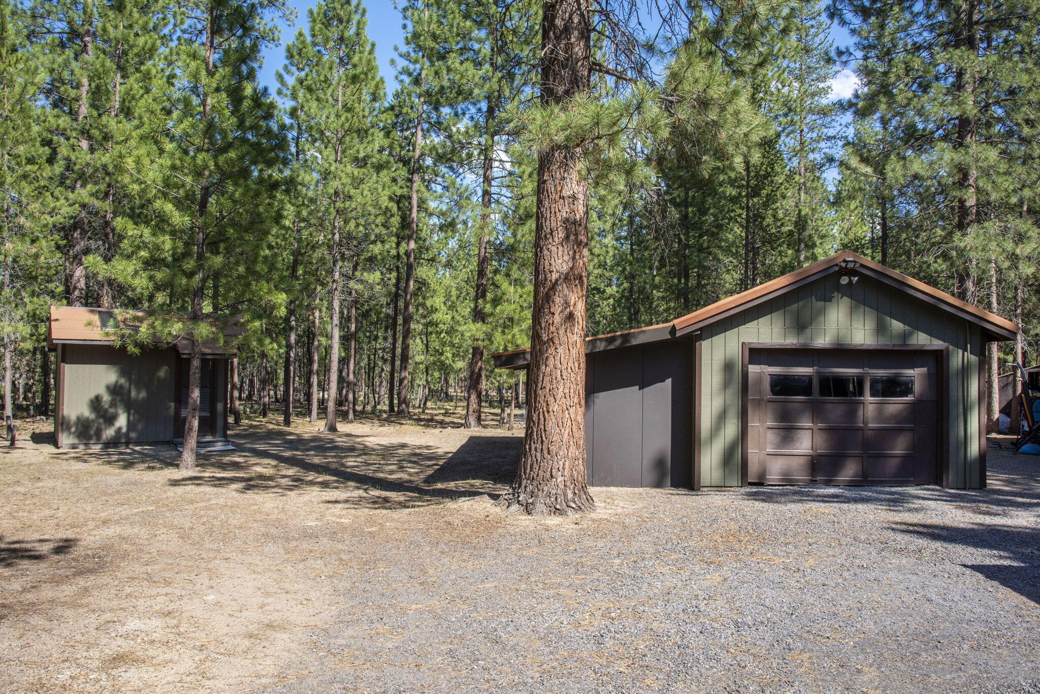 Ponderosa Pines - Residential
