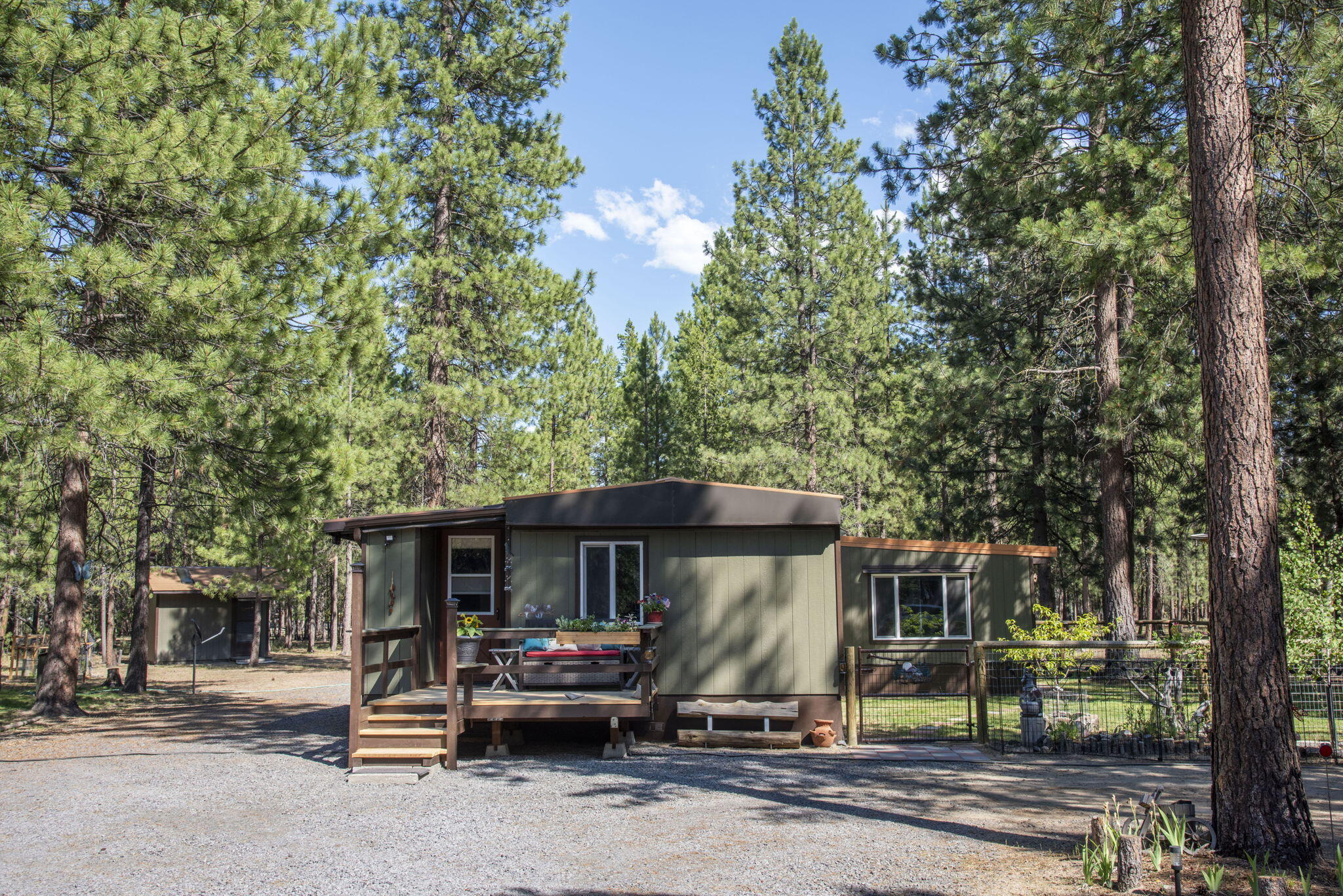 Ponderosa Pines - Residential