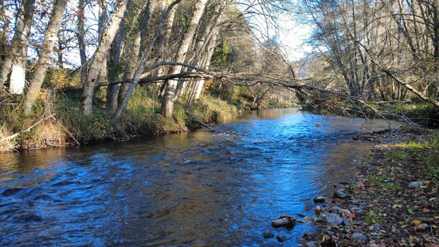 Discover the beauty, privacy, and agricultural opportunity at 188 Pisqually, Azalea, OR — a rare 11.64-acre parcel set along the banks of year-round Cow Creek. This gently sloped farmland offers a mix of open meadow, timber edge, and creekside habitat—perfect for farming, animals, homesteading, or a peaceful country retreat.

This property is fully equipped with water rights, a private well, and power (needs reconnected), giving you a head start on development. Bring your plans for a homesite, farmhouse, cabin, or agricultural use — the infrastructure is in place.

Located in a quiet rural setting with mountain views, mature evergreens, and open southern exposure, the land provides multiple potential building areas, pasture space, and natural privacy. Enjoy fishing, wildlife, and the sound of flowing water from your own creek frontage.