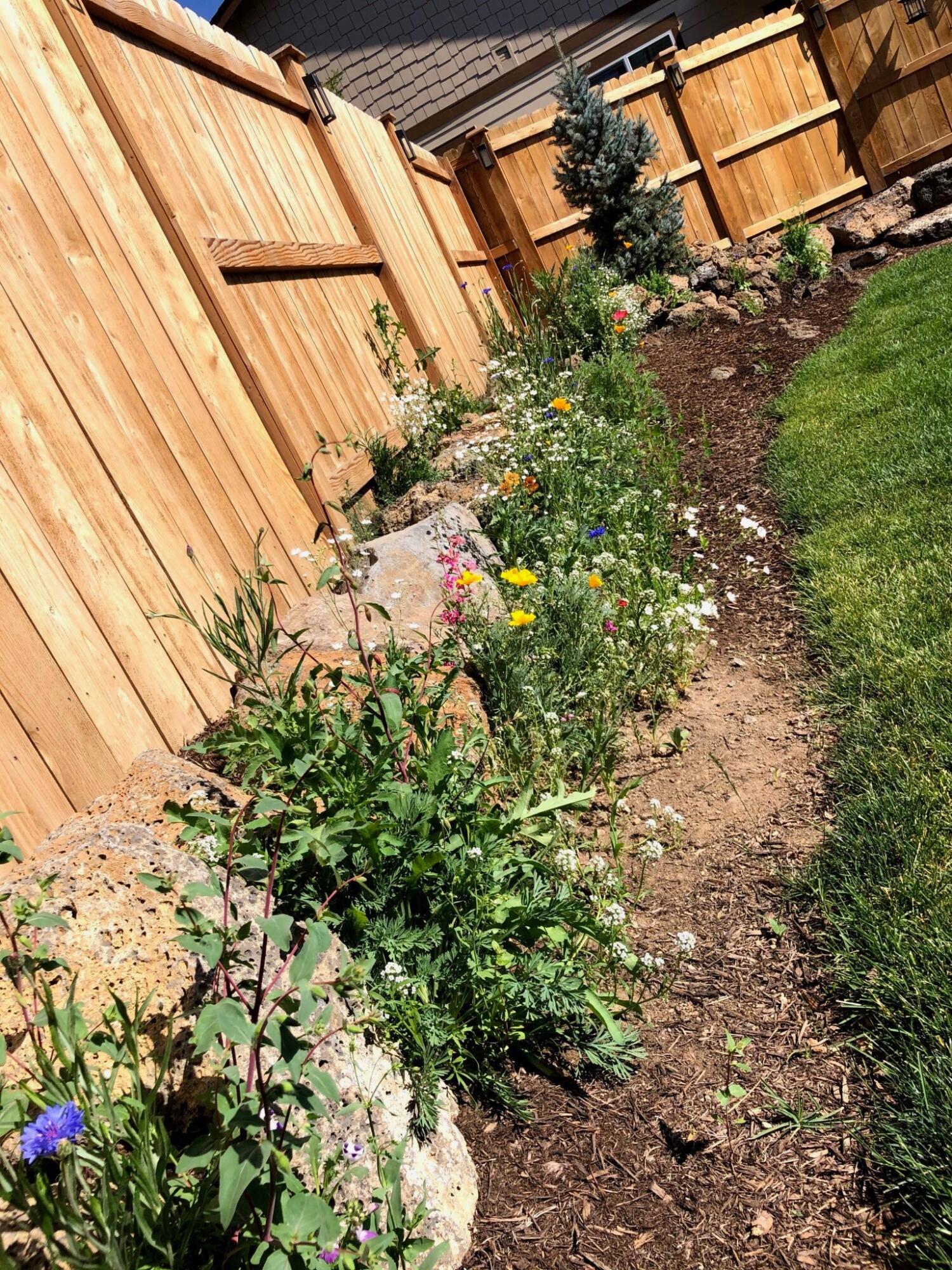 Grizzly Ridge - Residential