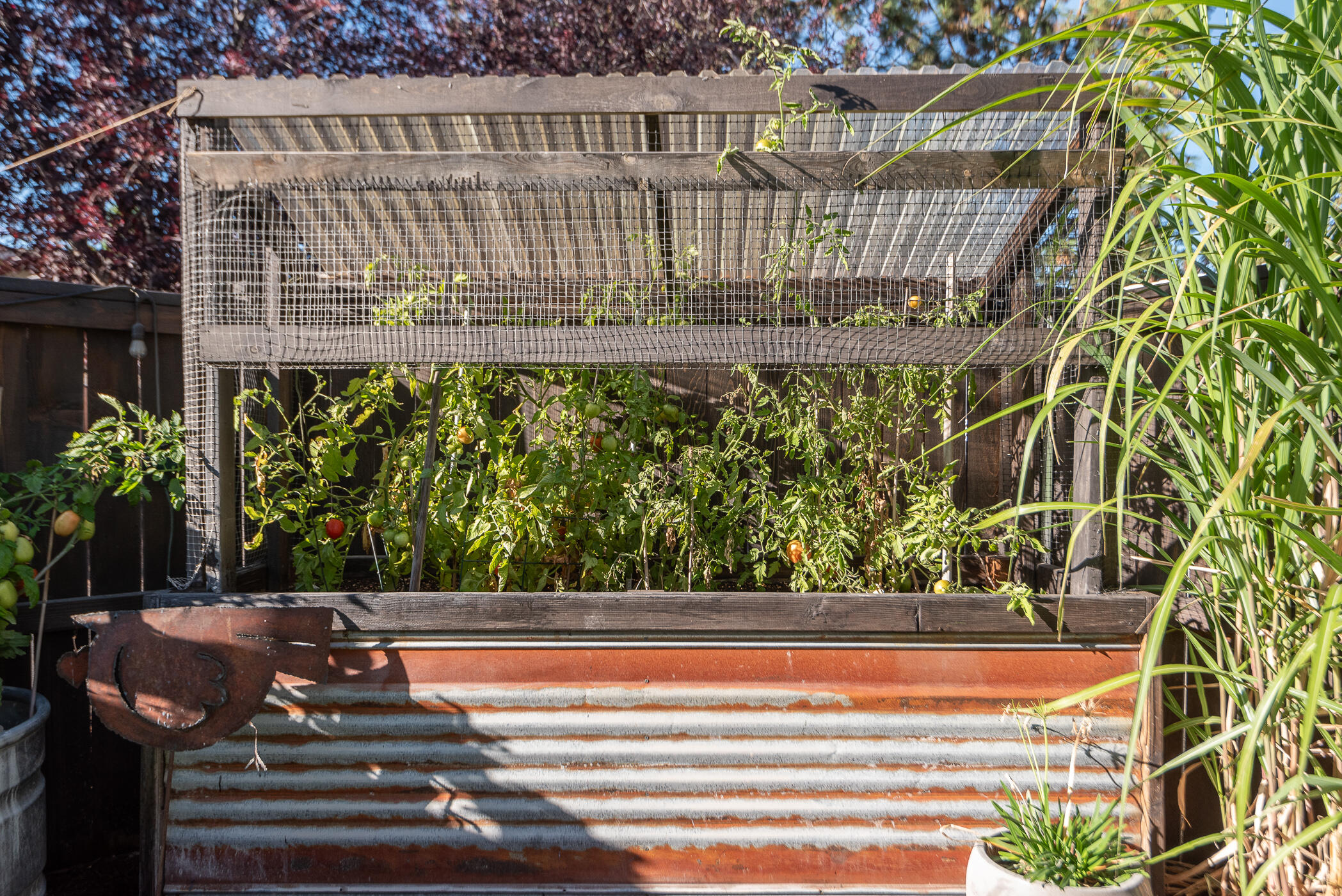 Foxborough - Residential