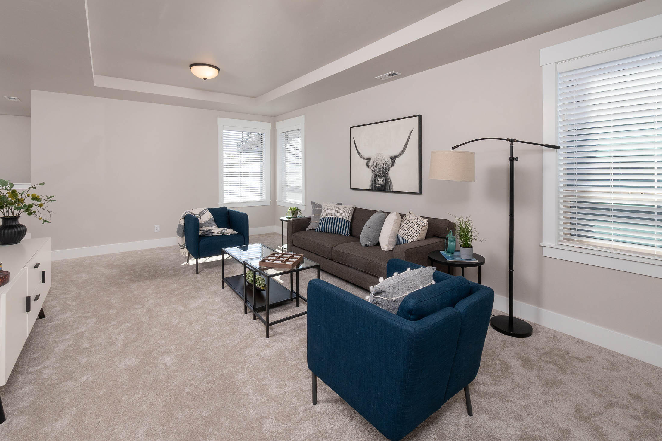 Triple Ridge - Residential