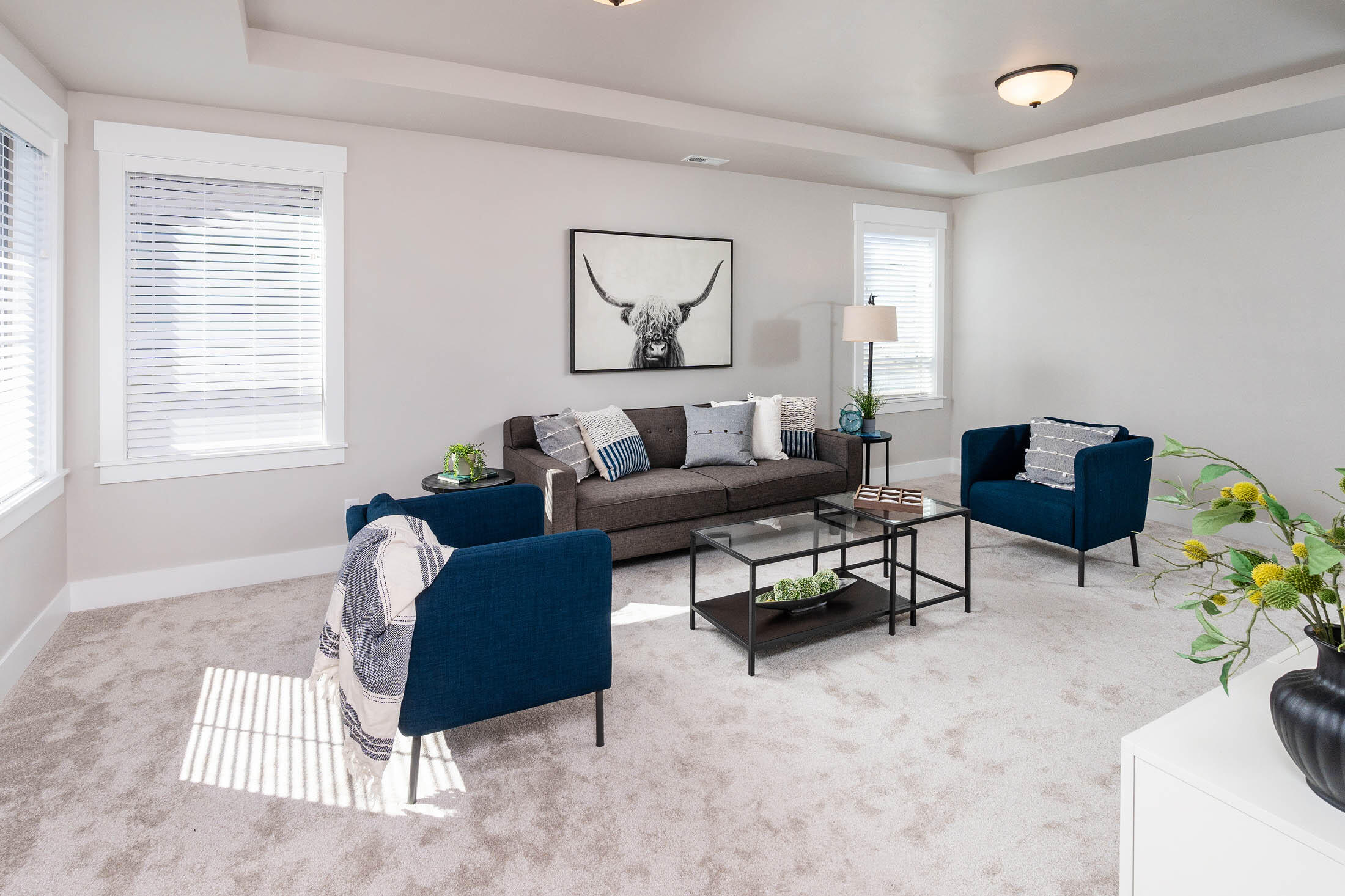 Triple Ridge - Residential