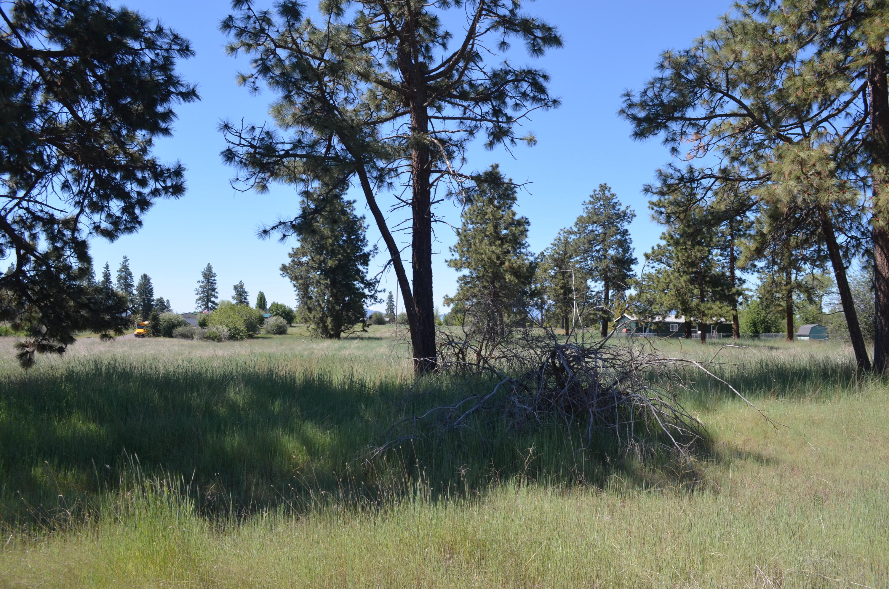 Oregon Shores -Unit 2-First Addition - Land