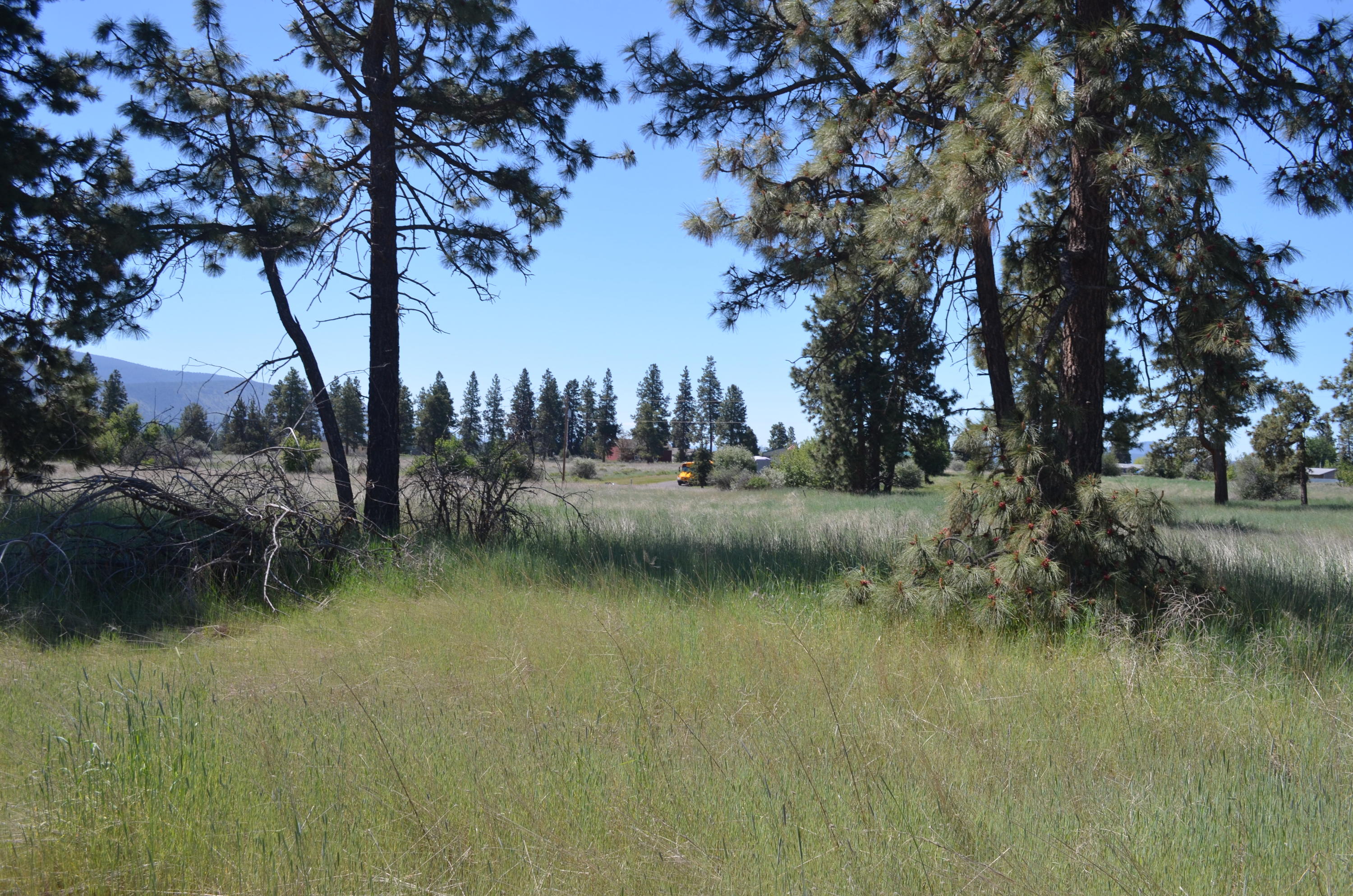 Oregon Shores -Unit 2-First Addition - Land