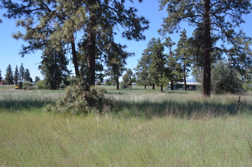 Nice buildable .46 acre lot. Come build your dream home or vacation retreat in Oregon Shores, near Agency Lake. Minutes from Klamoya Casino, Crater Lake and fishing on the Williamson River. Annual $200 HOA fee covers community well, road maintenance, and membership to Oregon Shores Recreation Club.