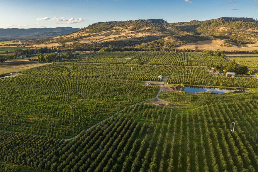 Hull Pear Orchard is one of the most productive properties in the region & totals +/-149 acres over 3 tax lots w/112 acres of Class I soils, 31 acres of Class II soils, & abundant water resources. There are 148 acres of water rights for 4.5 acre feet/acre during the irrigation season (max of 655 acre feet) via a contract with Bureau of Reclamation. Water is delivered by a canal from the Rogue River & has multiple pump stations with 3-phase power plus 2 ponds totaling +/- 2-surface acres. The orchard is planted to 5 varieties of pears: bartlett, anjou, bosc, red anjou, & comice. There is a 1,352SF farmhouse with 4bed/1bath built in 1945 and a 2nd homesite through a Measure 49 claim. Properties with this combination of efficient shape, amazing location, level topography, overall size, quality Class I soils, & available water rights are rarely offered on the open market - this property is ready for the new owners to start or expand their agribusiness & is only 7 miles from the airport!