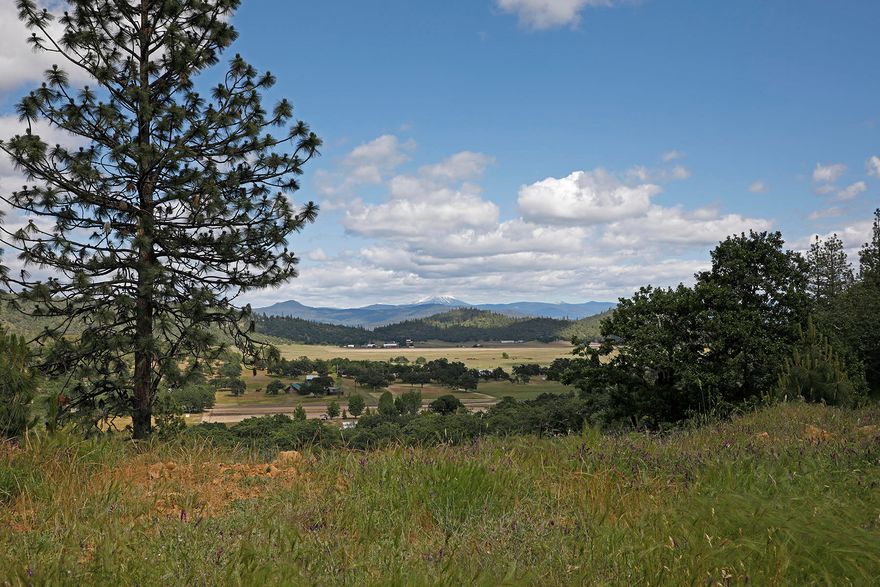 Gorgeous views of Mt Mcloughlin and the valley! Best of both worlds with usable acreage as well!  Call your builder!
 There are only 2 of these lots available. Best of both worlds, privacy and beauty. Secluded forested 10 acres with amazing views. Large Flat building sites. This unique subdivision is located 10 minutes from a Super Walmart, shopping, restaurants and medical offices and just 20 minutes from Medford. This lot is ready for you to build the house of your dream home site with pad, well drilled, septic approval, driveway cut and underground power to property line. Private Road to property is paved and ready for you to follow to your new dream home.