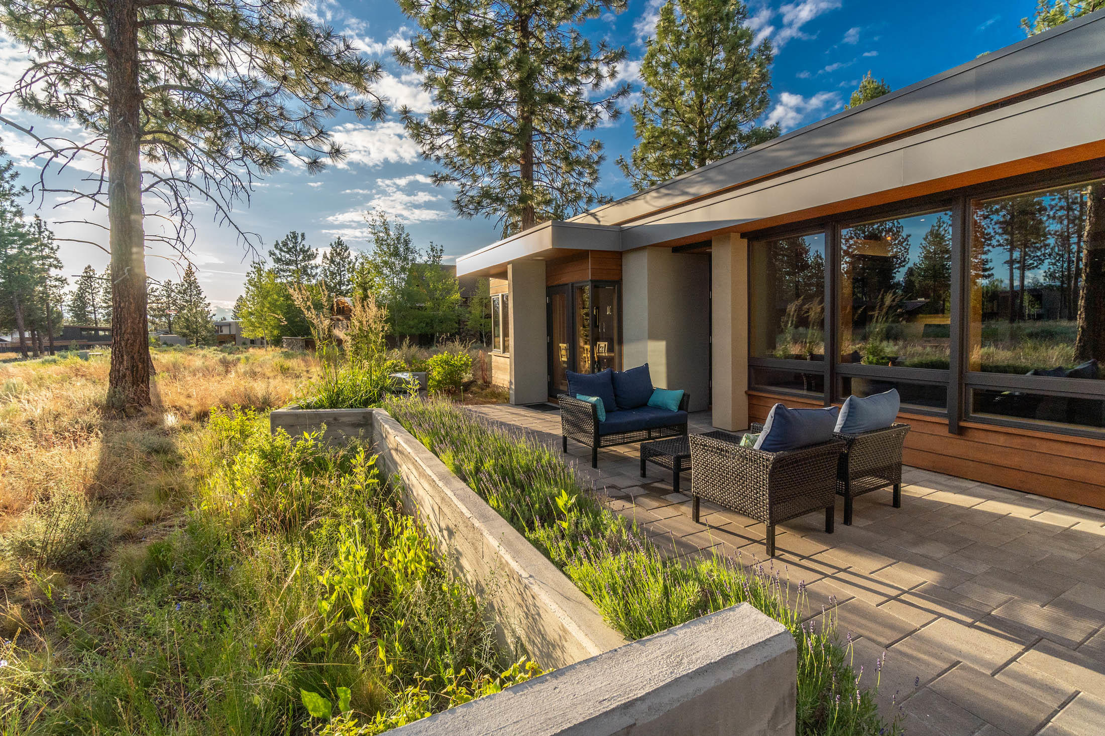 Shevlin Commons - Residential