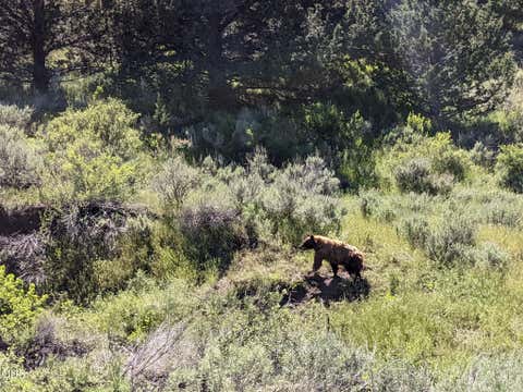Tiny photo for 5872 John Day Highway, Brogan, OR 97903 (MLS # 220224625)