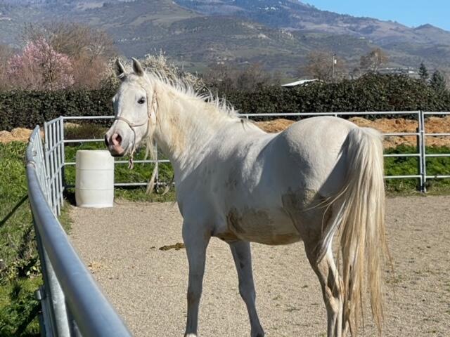 Medford Original Town (1888) - Land