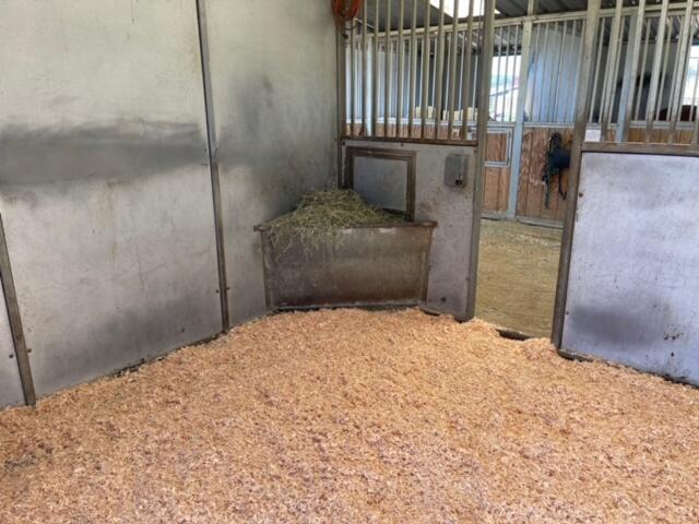 Medford Original Town (1888) - Land