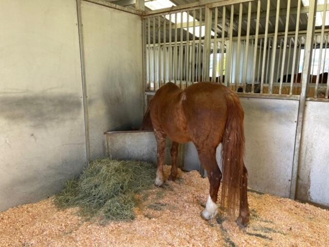 Medford Original Town (1888) - Land