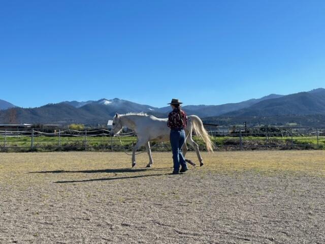 Medford Original Town (1888) - Land