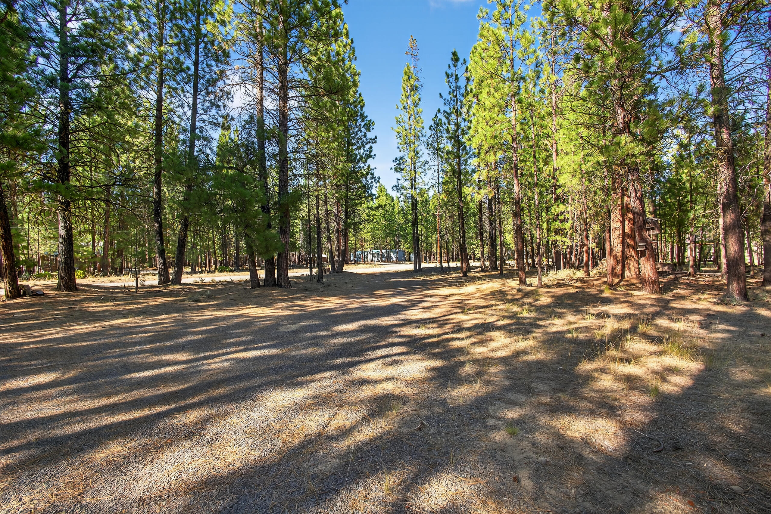 Ponderosa Pines - Residential