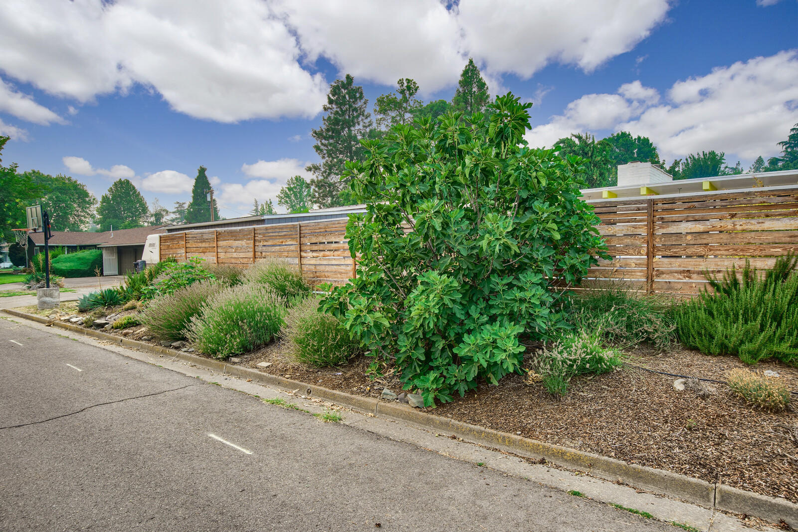 Country Club Manor - Residential