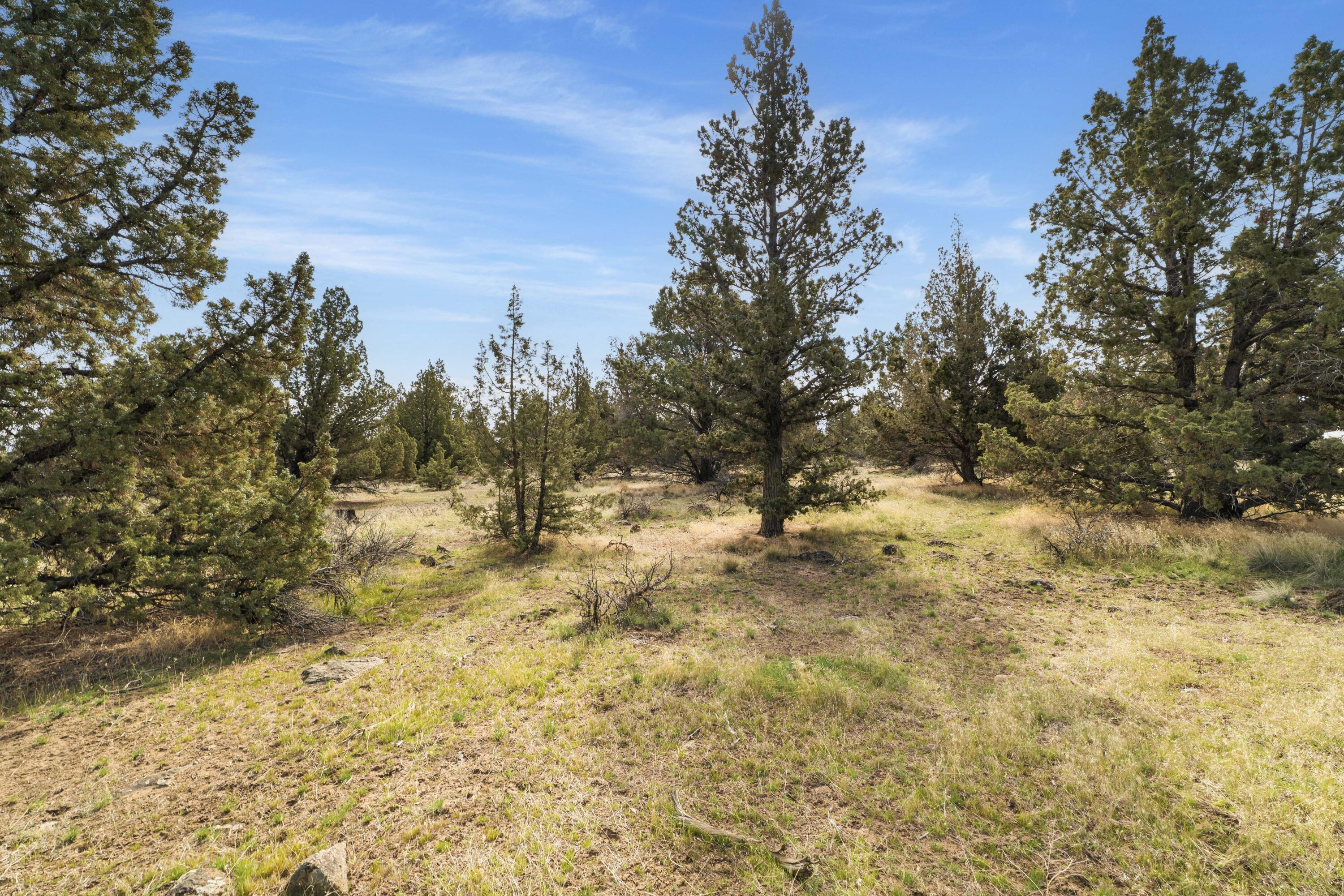 21224 Limestone Avenue