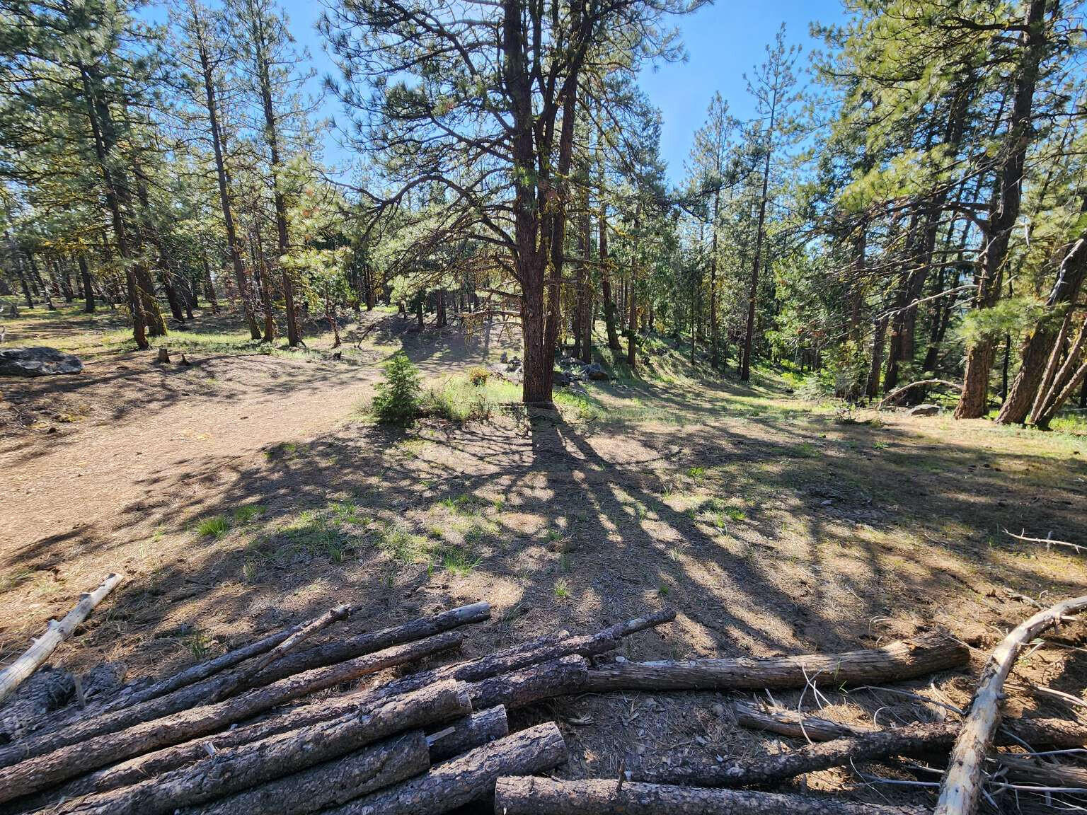 Klamath Falls Forest Estates Hwy 66 Unit Plat 4 - Land
