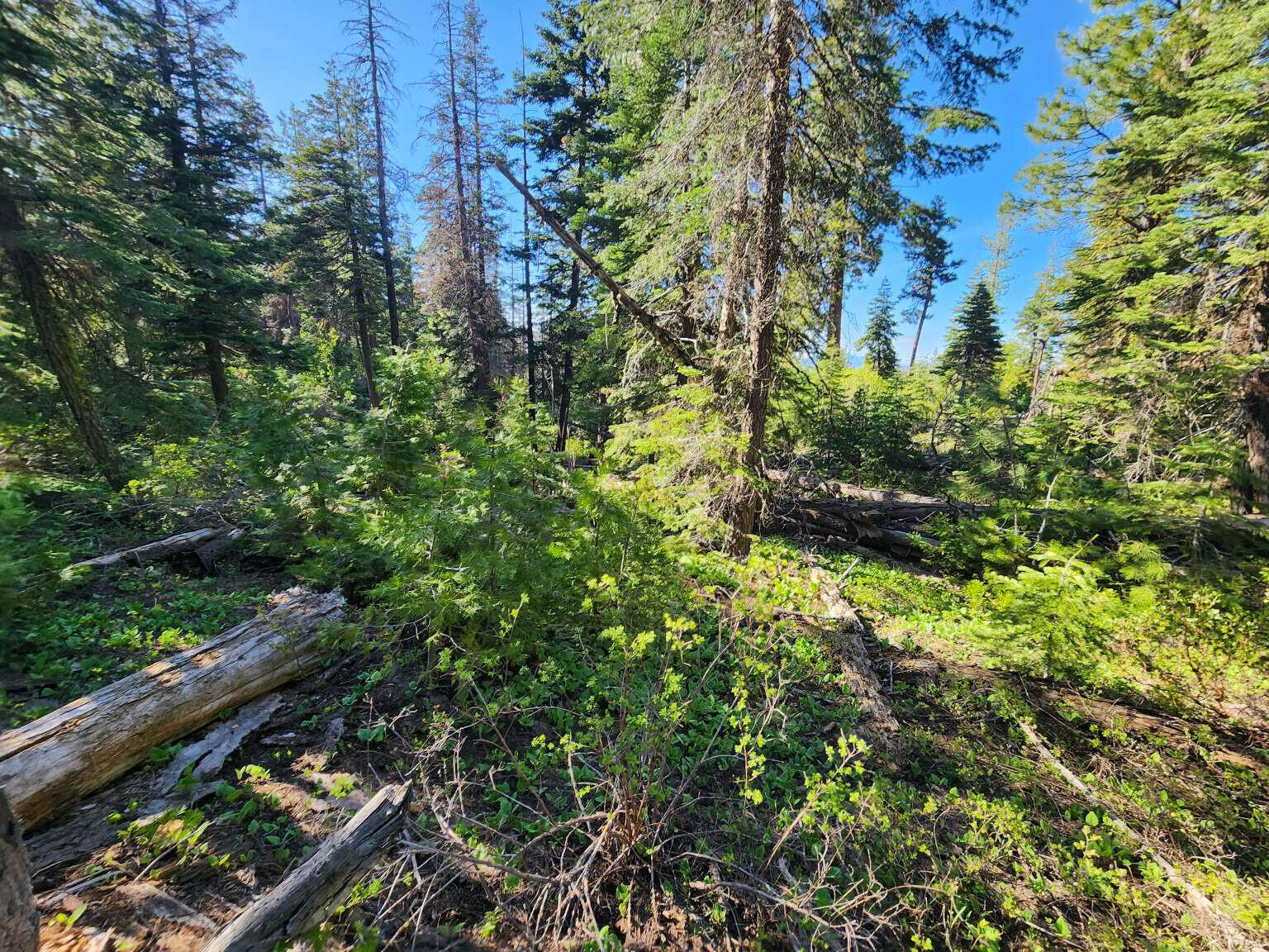 Klamath Falls Forest Estates Hwy 66 Unit Plat 4 - Land