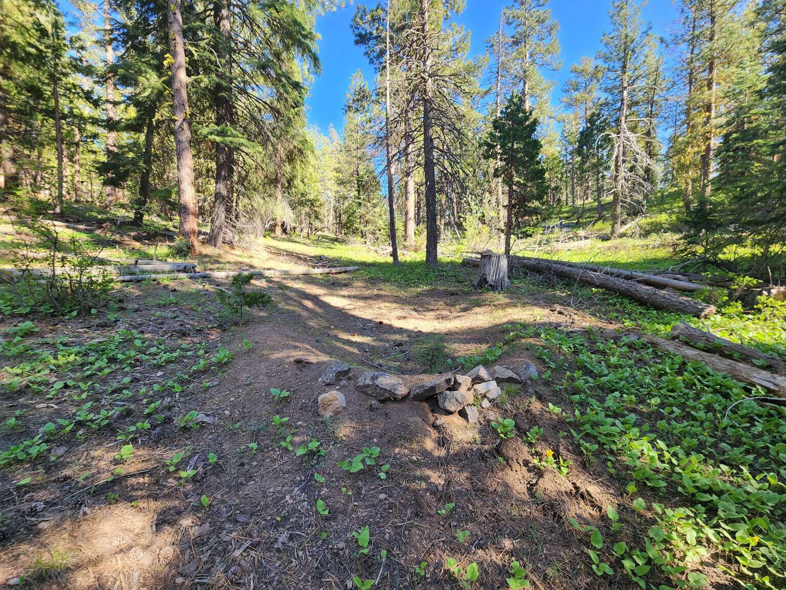 Klamath Falls Forest Estates Hwy 66 Unit Plat 4 - Land