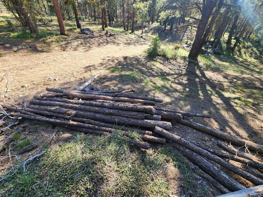 This land is on Beaver Ln in Klamath Falls Forest Estates.
Owner Financing as low as $367/Month. No Credit Checks. Everyone is approved!

This lot is almost 5 acres and includes many old growth Pines, Bull Pines, some Cedars and some White Firs. Plenty of felled trees to use as you wish. The land slopes from the road with the greater gradient along the western edge of property. There are a couple spots where you can get a vehicle off the road more to the east side of the load. Building would require finding a spot to clear that is flat enough. Strategically clearing an area of some trees to build would offer a nice peek-a-boo view of the mountains. Some of the views are slightly visible through the trees in photo. It is recommended if you spend 4 seasons in this area that you have a very good 4-wheel drive vehicle to combat snowfall.