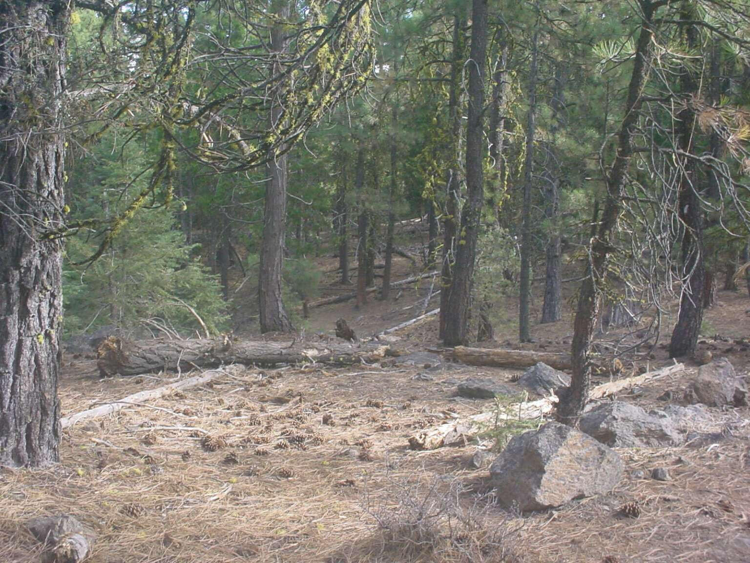 Klamath Falls Forest Estates Hwy 66 Unit Plat 4 - Land