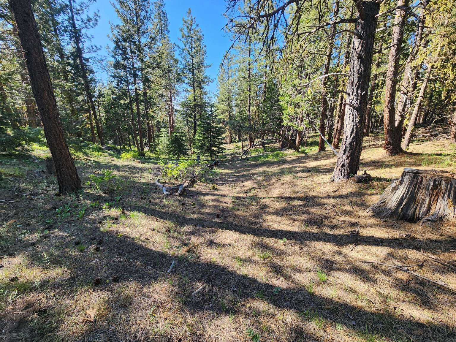 Klamath Falls Forest Estates Hwy 66 Unit Plat 4 - Land