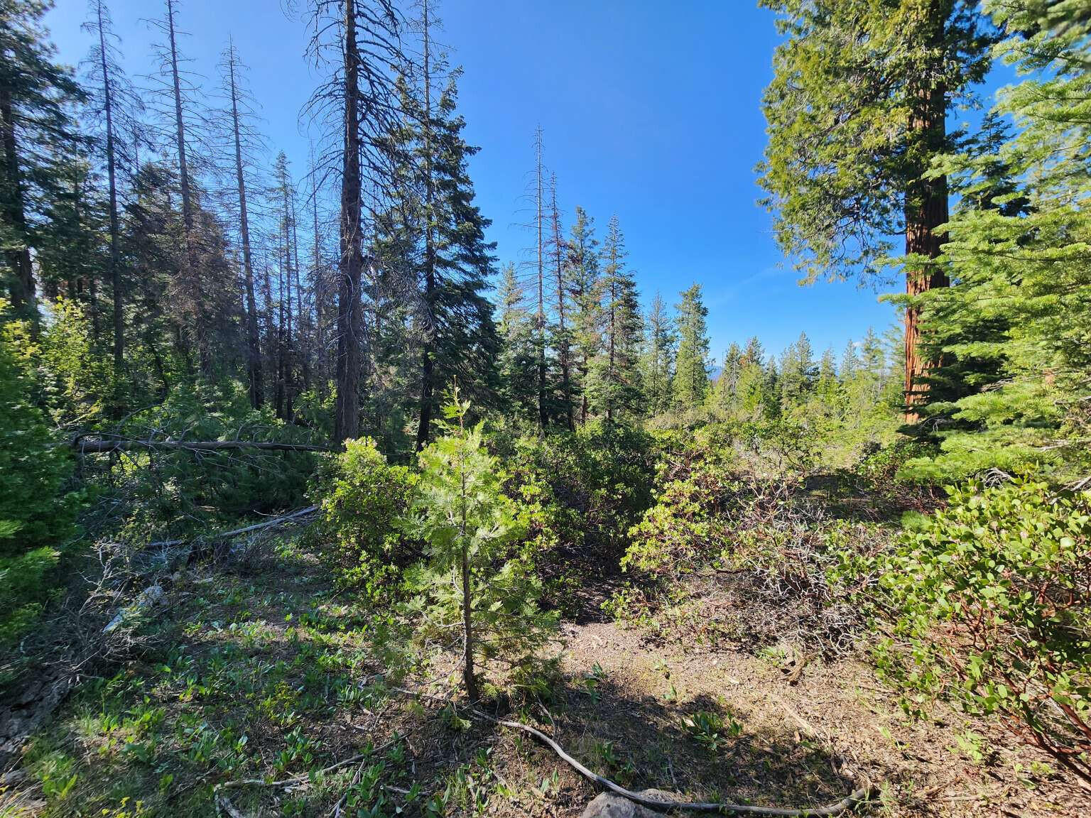 Klamath Falls Forest Estates Hwy 66 Unit Plat 4 - Land
