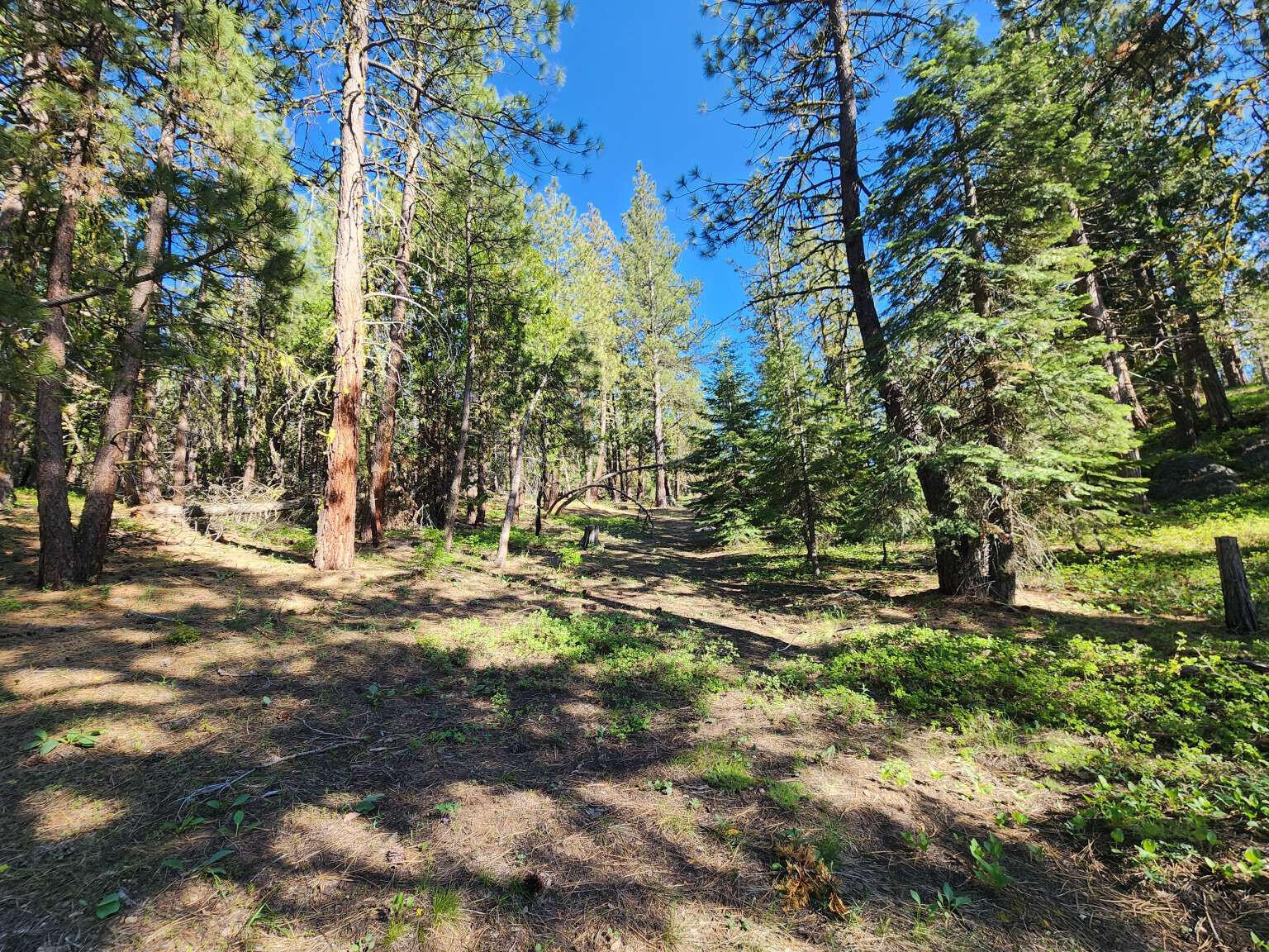 Klamath Falls Forest Estates Hwy 66 Unit Plat 4 - Land