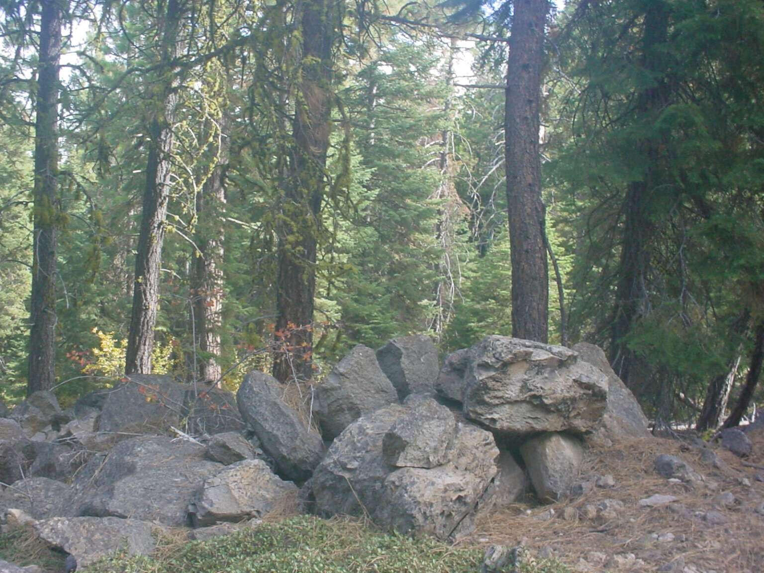 Klamath Falls Forest Estates Hwy 66 Unit Plat 4 - Land