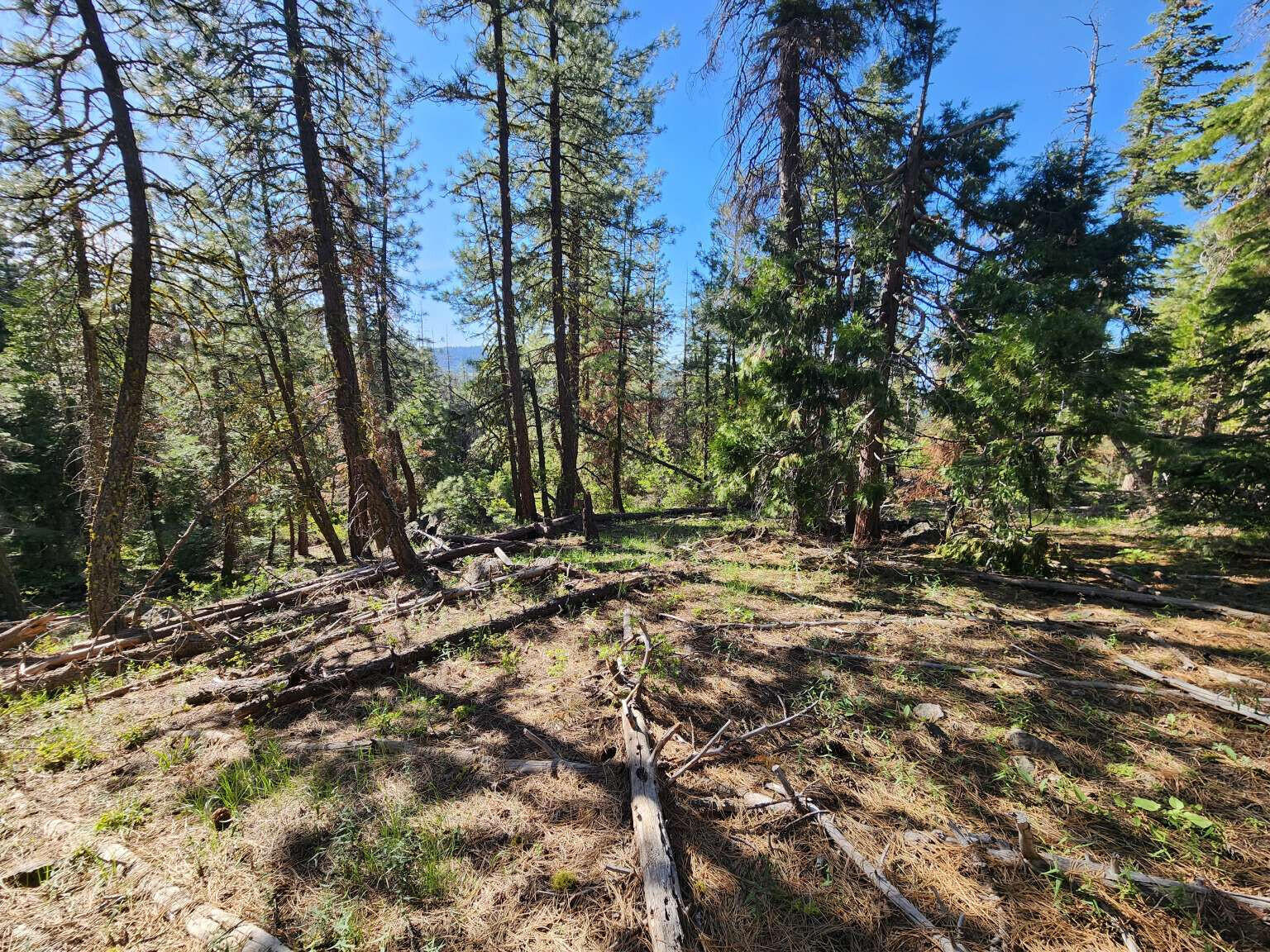 Klamath Falls Forest Estates Hwy 66 Unit Plat 4 - Land