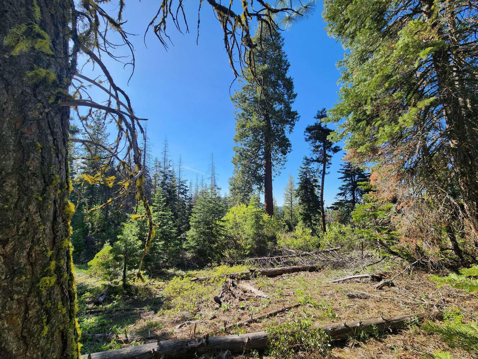 Klamath Falls Forest Estates Hwy 66 Unit Plat 4 - Land