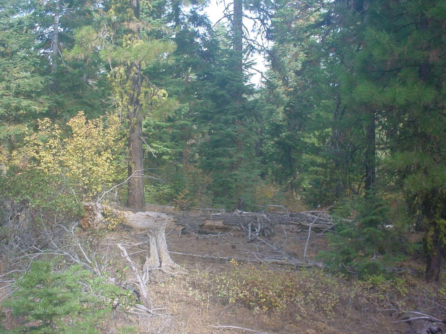 Klamath Falls Forest Estates Hwy 66 Unit Plat 4 - Land