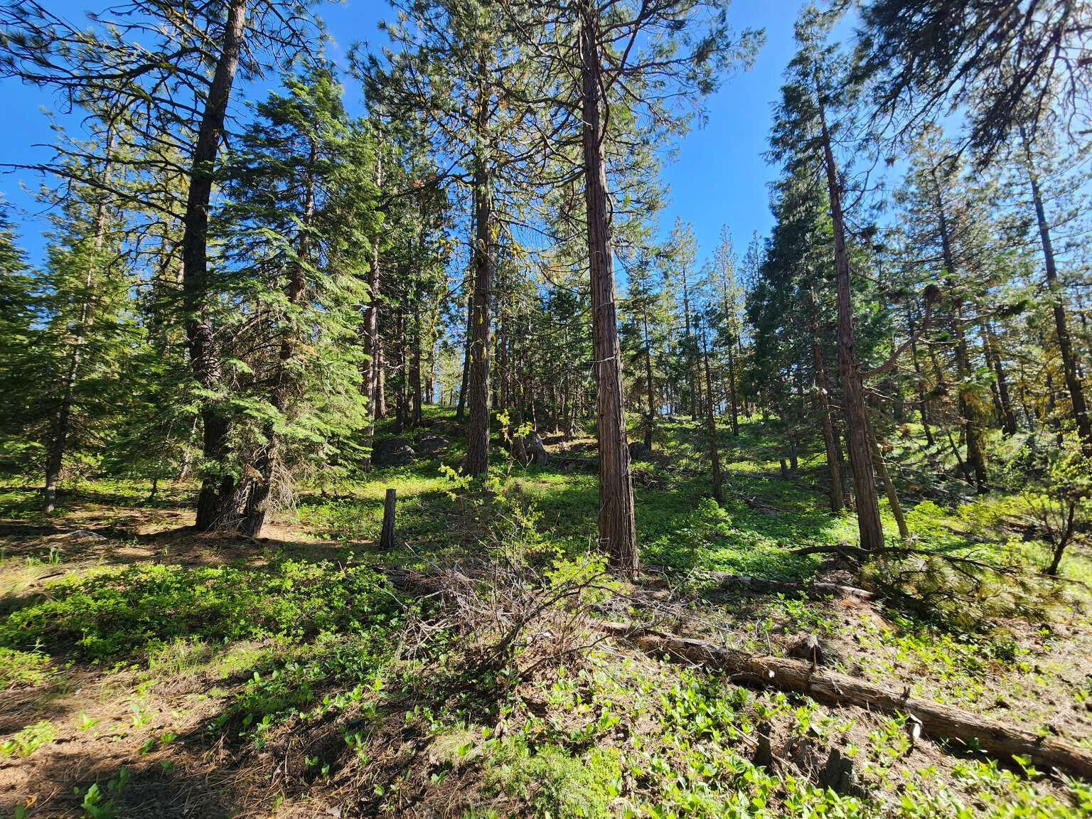 Klamath Falls Forest Estates Hwy 66 Unit Plat 4 - Land
