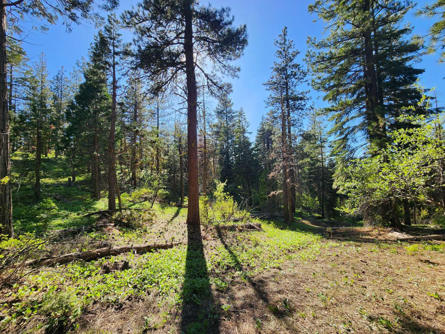 Klamath Falls Forest Estates Hwy 66 Unit Plat 4 - Land