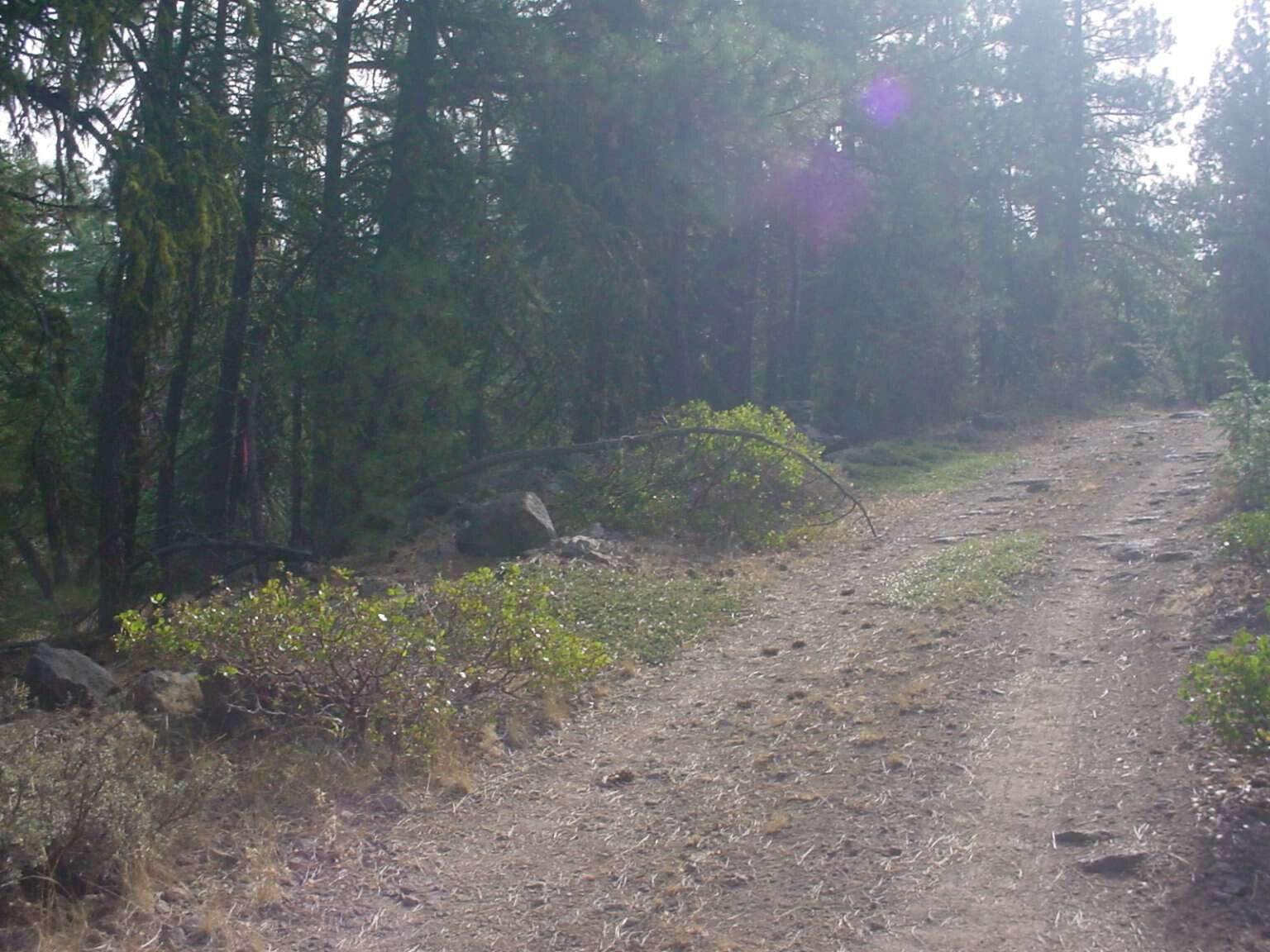 Klamath Falls Forest Estates Hwy 66 Unit Plat 4 - Land