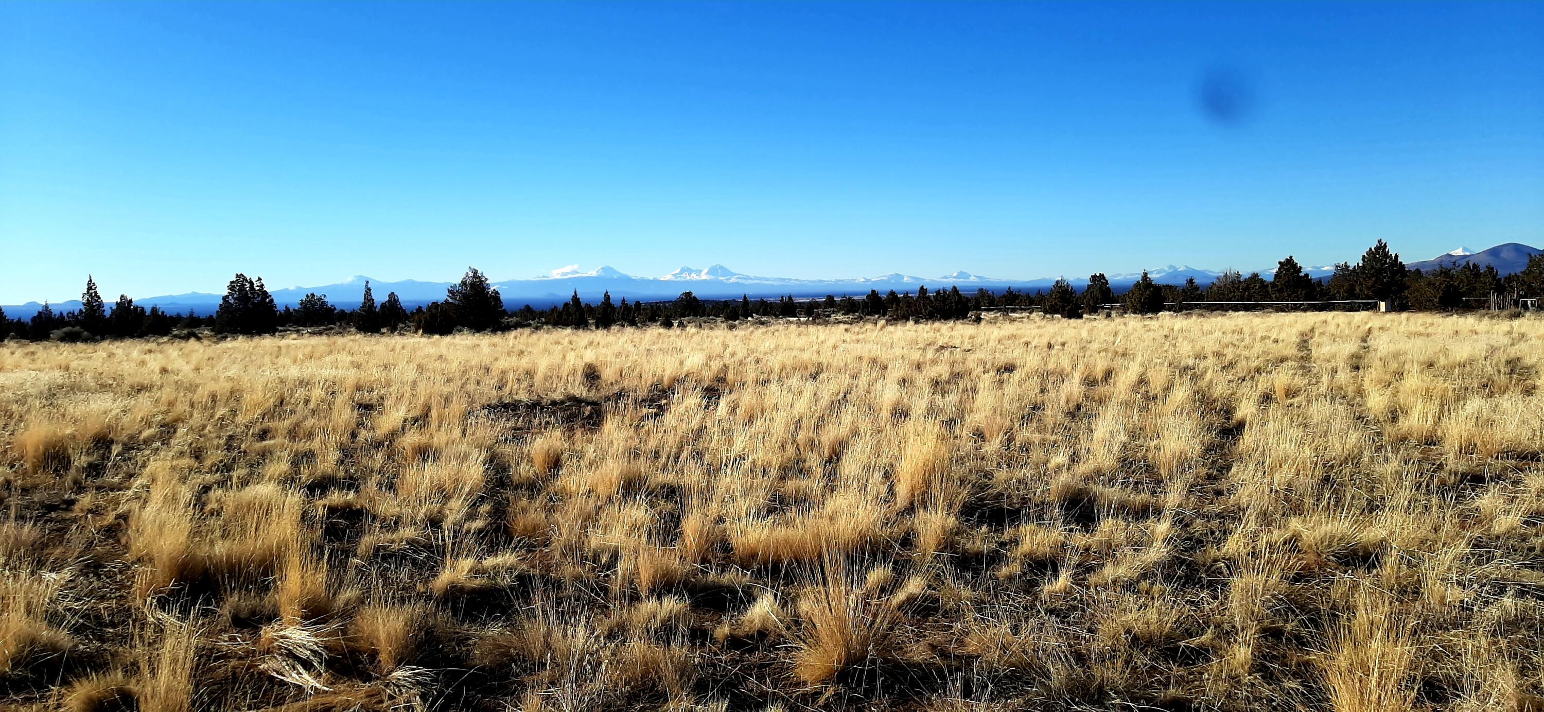 Juniper Acres - Land