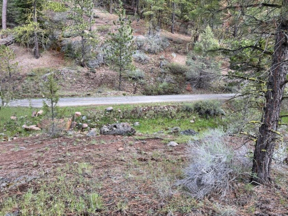 Klamath Forest Estates - Land