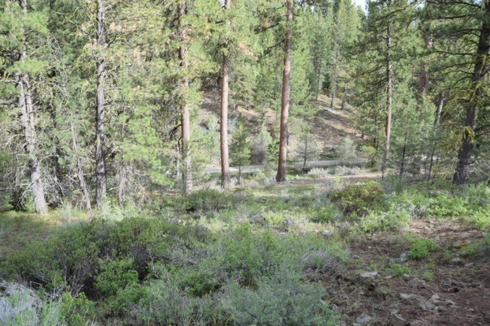 Klamath Forest Estates - Land