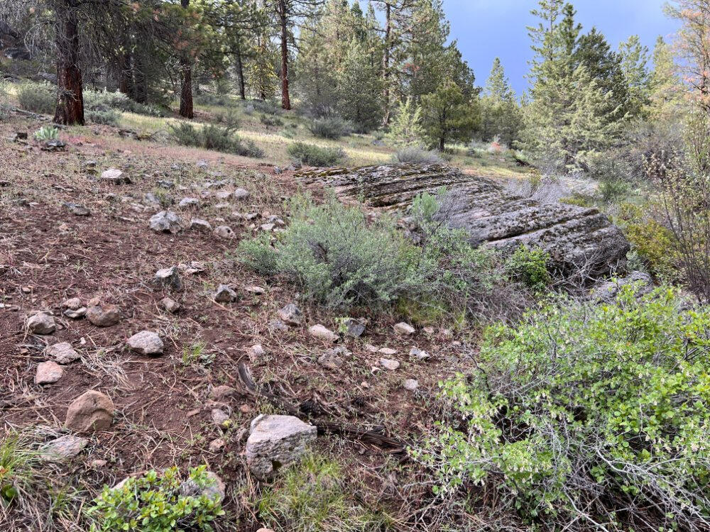 Klamath Forest Estates - Land