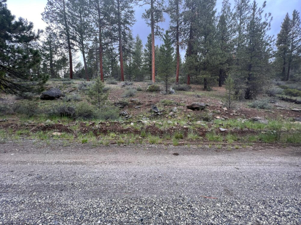 Klamath Forest Estates - Land