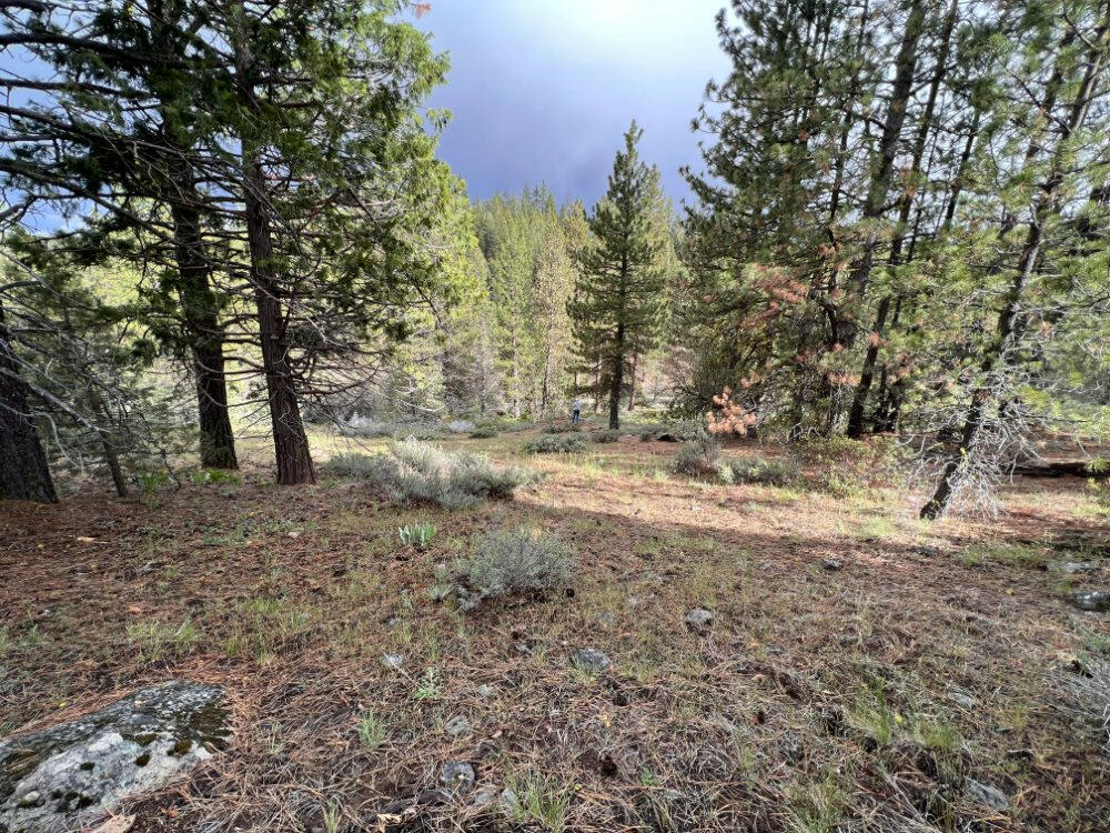 Klamath Forest Estates - Land