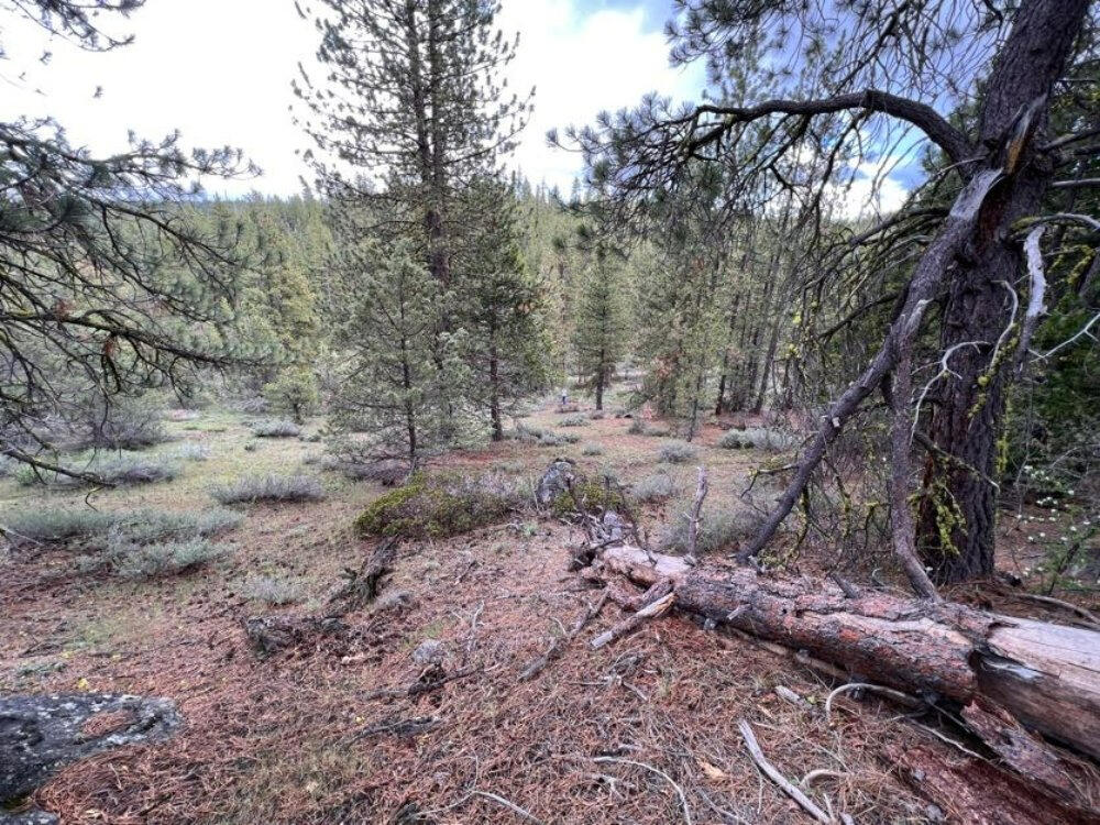 Klamath Forest Estates - Land