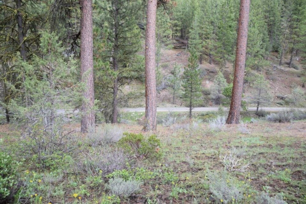 Klamath Forest Estates - Land