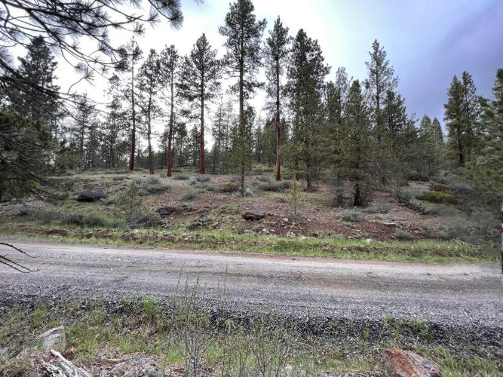 Klamath Forest Estates - Land
