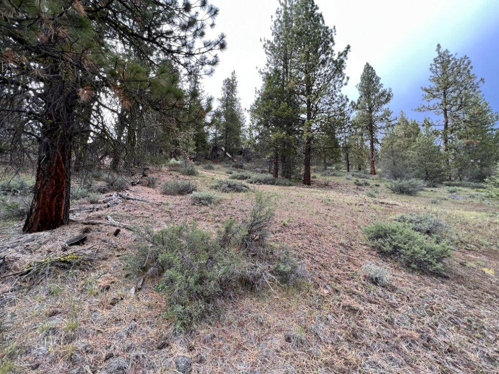 Klamath Forest Estates - Land