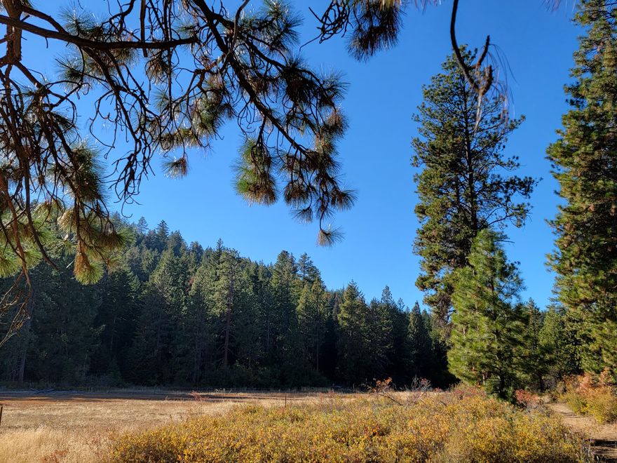Over 10 acres of Heavily treed land near Highway 140 between Running Y Resort and Klamath Zip Lines. Close to Rocky Point and Harriman Springs. According to County planning, the land would be a good contender for a CUP (Conditional Use Permit) for a dwelling. Access process is under way, buyer has applied with ODOT (Oregon Department of Transportation) to start that process. Buyer's to do due diligence and may be asked to participate in Access process with ODOT, once under contract.